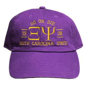 Purple & Old Gold Personalized Adjustable Chapter Hat